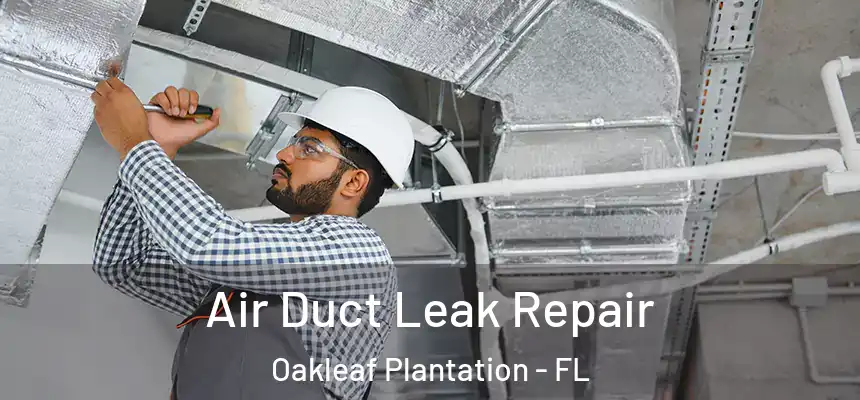  Air Duct Leak Repair Oakleaf Plantation - FL