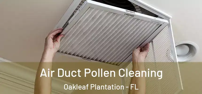 Air Duct Pollen Cleaning Oakleaf Plantation - FL