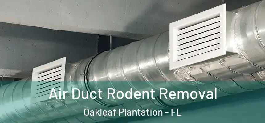 Air Duct Rodent Removal Oakleaf Plantation - FL