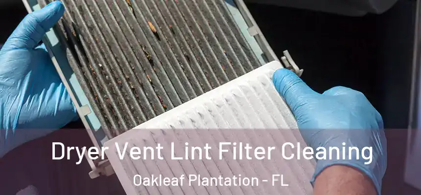 Dryer Vent Lint Filter Cleaning Oakleaf Plantation - FL
