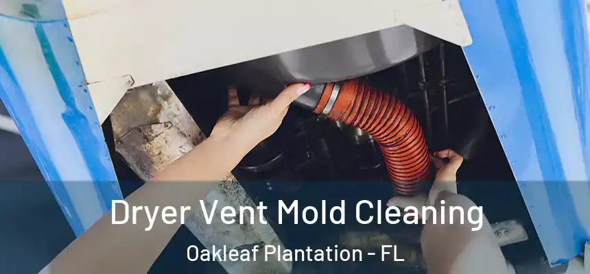 Dryer Vent Mold Cleaning Oakleaf Plantation - FL