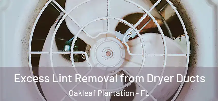 Excess Lint Removal from Dryer Ducts Oakleaf Plantation - FL