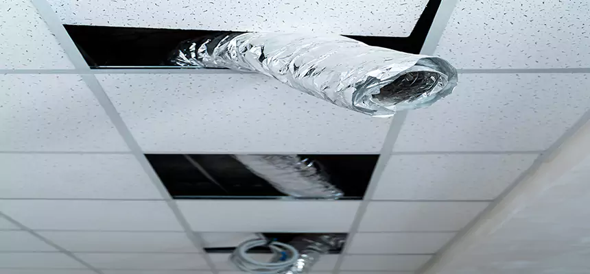 Affordable HVAC Sanitizing After Pest Removal in Oakleaf Plantation