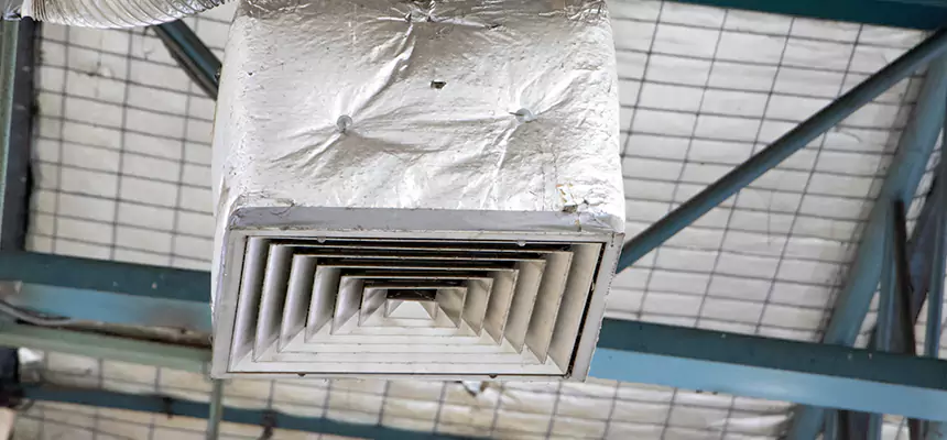 Our HVAC Mold Remediation Service Services in Oakleaf Plantation, FL