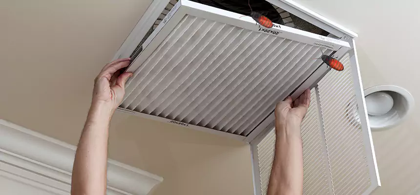 Our Insect Removal from Air Ducts Services in Oakleaf Plantation, FL
