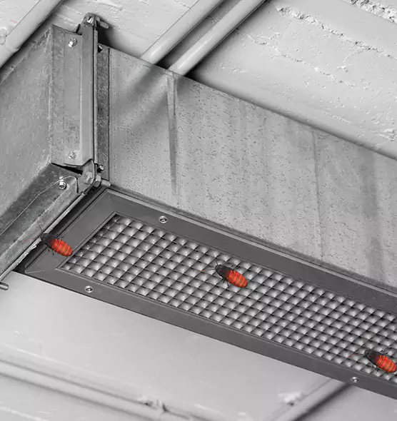 Affordable Insect Removal from Air Ducts in Oakleaf Plantation, FL